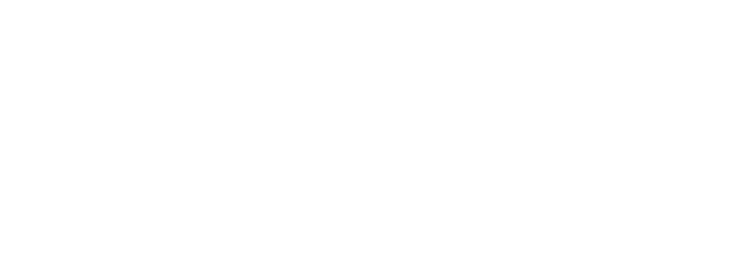 cariitti_logo_valkoinen