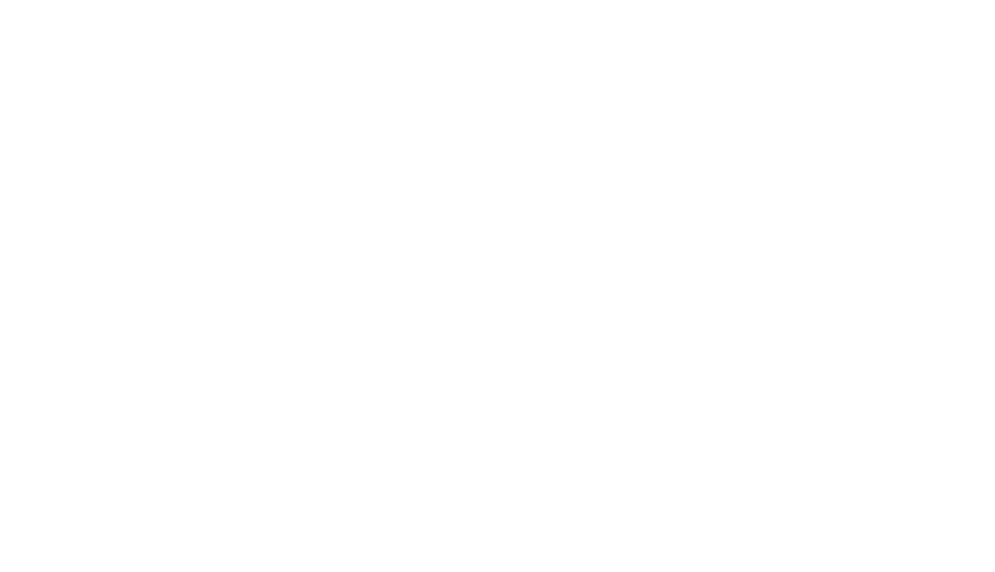 Emendo-logo-valkoinen-uusi